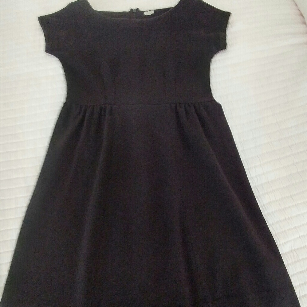 J. Crew Winter Dress
